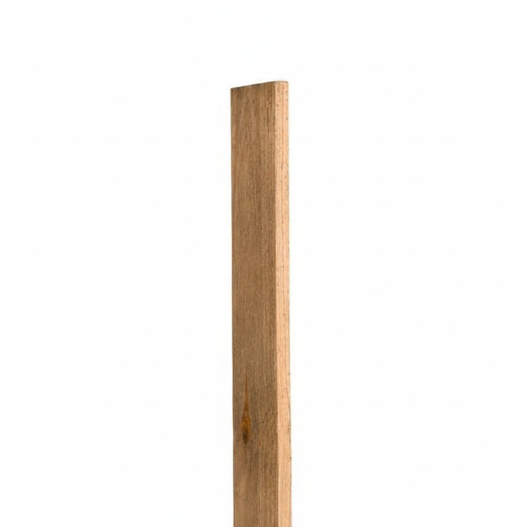 Wooden plank on a white background